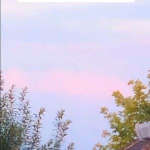 Meet your Posher, Eden